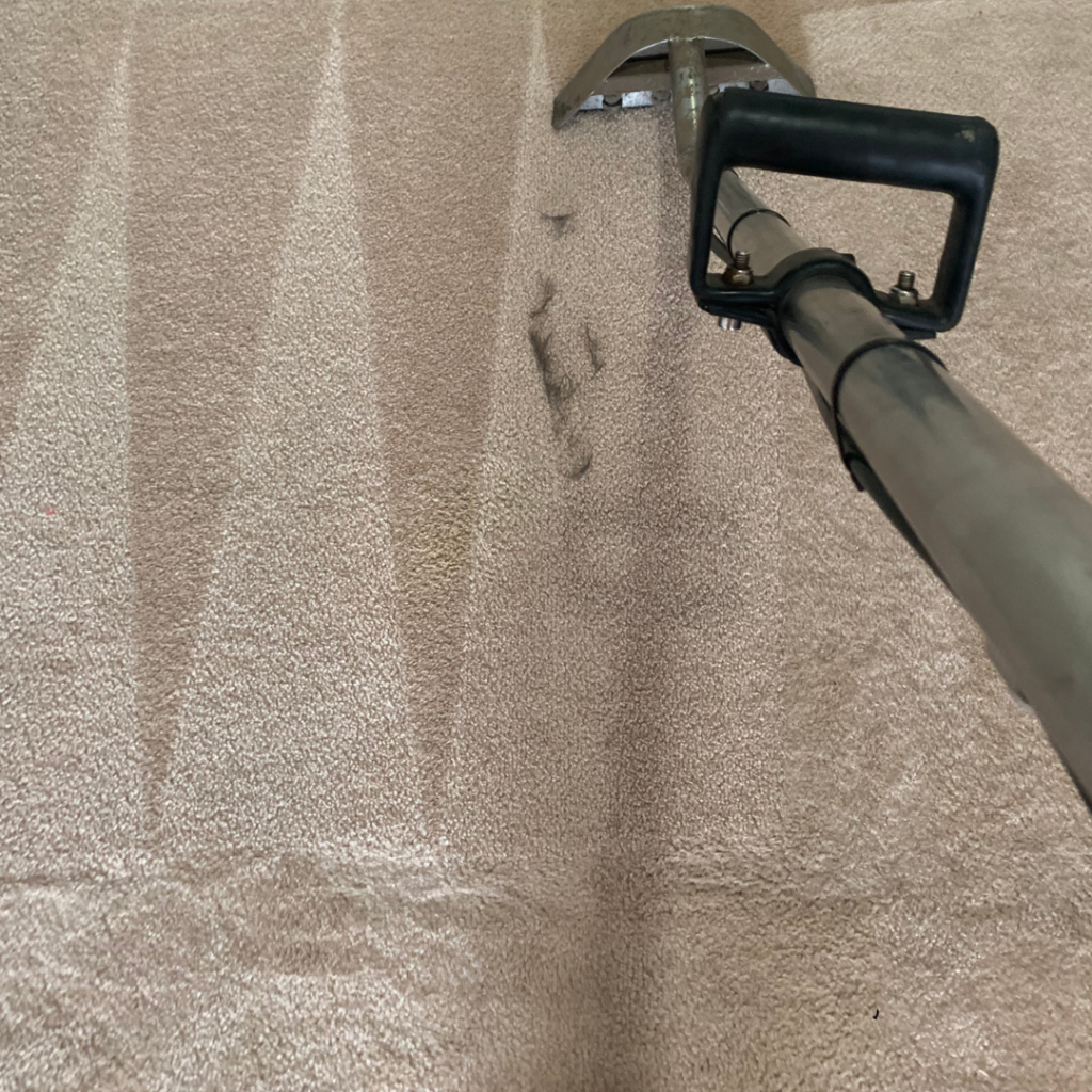 Carpet