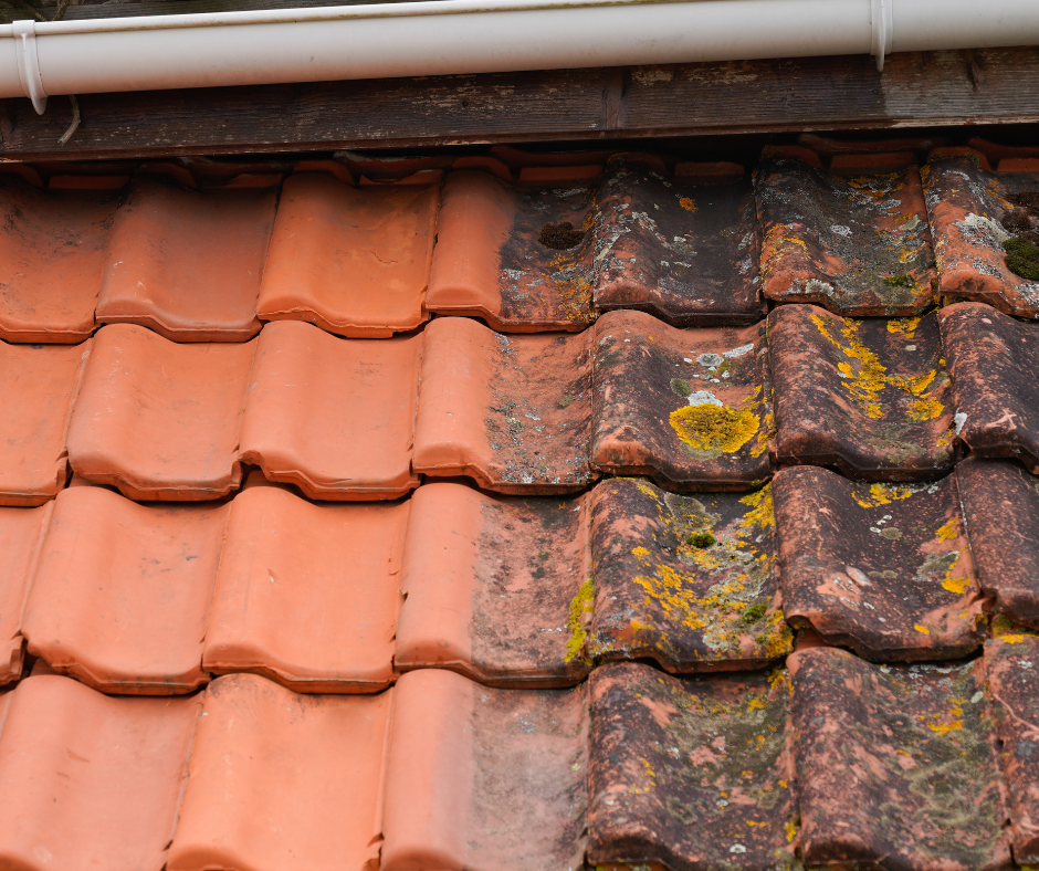 Roof Clean (1)