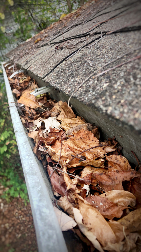 T & A Pro Cleaning Gutter