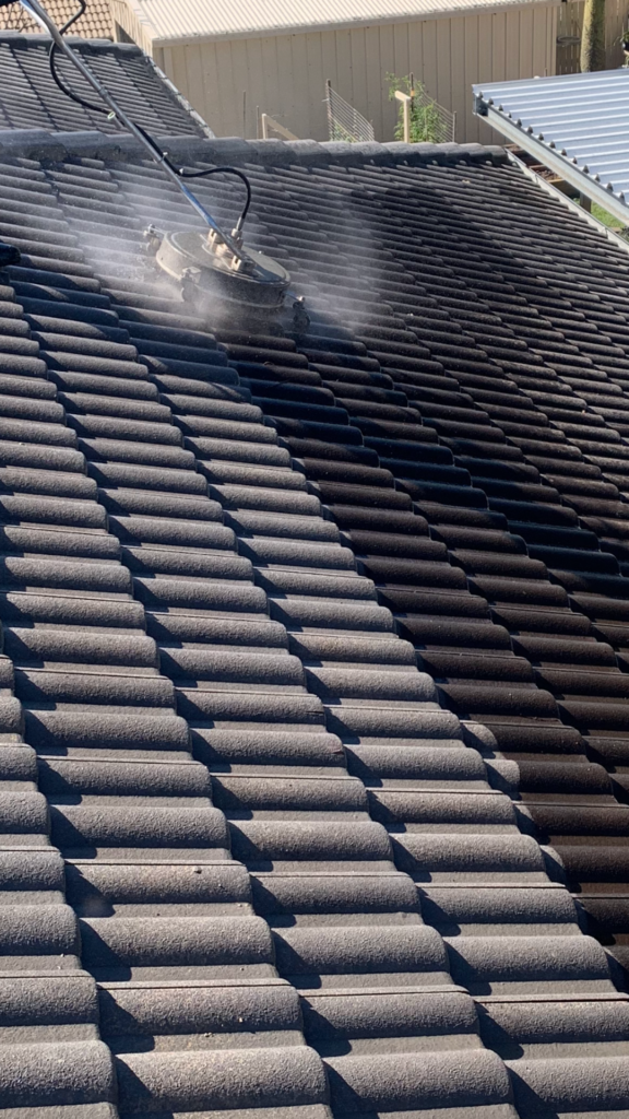 T & A Pro Cleaning Services - Roof Wash (2)