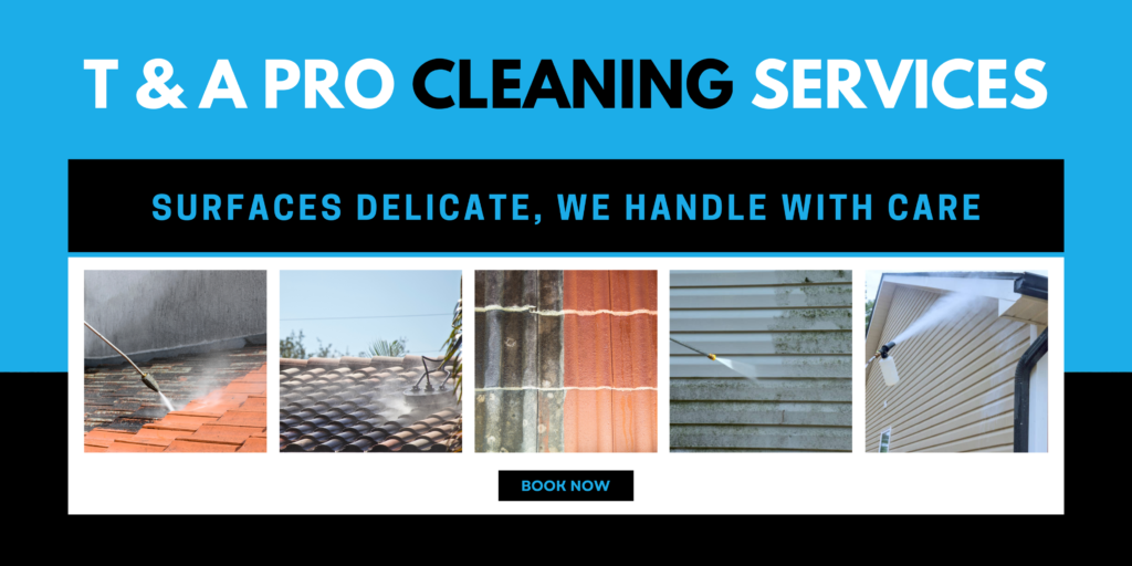 T & A Pro Cleaning Services Soft Washing Banner (1)